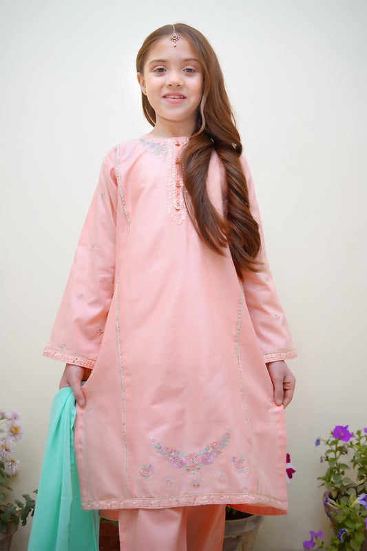 Bahar E Eid by Shanzey Stitched 3 Piece Festive Emb Cotton Collection-SHK-3624