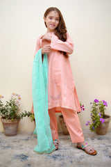 Bahar E Eid by Shanzey Stitched 3 Piece Festive Emb Cotton Collection-SHK-3624