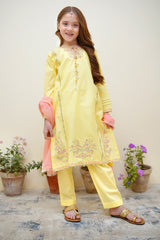 Bahar E Eid by Shanzey Stitched 3 Piece Festive Emb Cotton Collection-SHK-3625