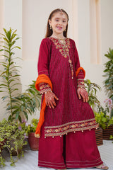 Shanzey Stitched 3 Piece Meethi Eid Formal Edit 1 Collection'2025-SHK-3801-Maroon