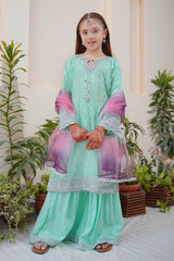 Shanzey Stitched 3 Piece Meethi Eid Formal Edit 1 Collection'2025-SHK-3803-Aqua