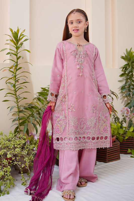 Shanzey Stitched 3 Piece Meethi Eid Formal Edit 1 Collection'2025-SHK-3805-Mauve