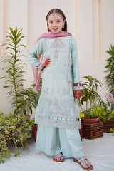 Shanzey Stitched 3 Piece Meethi Eid Formal Edit 1 Collection'2025-SHK-3806-Ice Blue