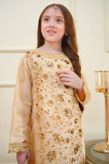 Rangon Ki Bahar By Shanzey Stitched 3 Piece Formals Collection'2025-SHK-3904