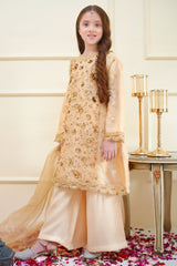 Rangon Ki Bahar By Shanzey Stitched 3 Piece Formals Collection'2025-SHK-3904