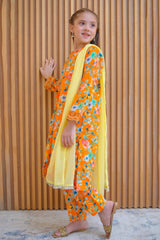 Shanzey Stitched 3 Piece Lawn Farshi Edit Collection'2025-SHK-4421