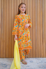 Shanzey Stitched 3 Piece Lawn Farshi Edit Collection'2025-SHK-4421