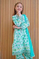 Shanzey Stitched 3 Piece Lawn Farshi Edit Collection'2025-SHK-4422