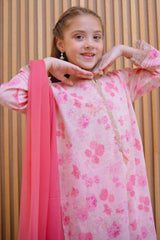 Shanzey Stitched 3 Piece Lawn Farshi Edit Collection'2025-SHK-4423