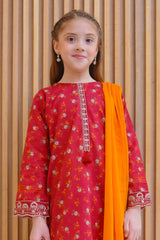 Shanzey Stitched 3 Piece Lawn Farshi Edit Collection'2025-SHK-4426
