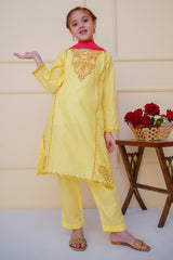 Shanzey Stitched 3 Piece Emb Cambric Edit Summer Collection'2025-SHK-4601
