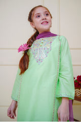 Shanzey Stitched 3 Piece Emb Cambric Edit Summer Collection'2025-SHK-4602