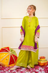 Sangeet By Shanzey Stitched 3 Piece Bari Eid Edit Collection'2025-SHK-4504