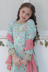 Shanzey Stitched Co Ords Emb Lawn With Chiffon Dupatta Suit-SHK-6103