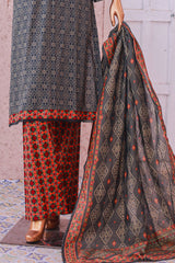 Bin Saeed Stitched 3 Piece Exclusive Printed Lawn Vol-05 Collection'2025-SM-1923-Grey