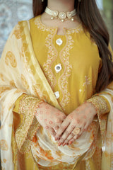 Bahar e Nau By Aayra Stitched 3 Piece Emb Lawn Suit-LL008SP1