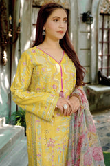 Bahar e Nau By Aayra Stitched 3 Piece Emb Lawn Suit-SH005SP1