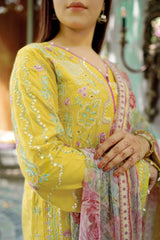 Bahar e Nau By Aayra Stitched 3 Piece Emb Lawn Suit-SH005SP1