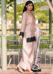 Stitch Vibes Rosee Pure Silk Farshi Shalwar