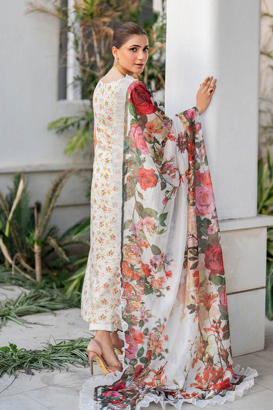 Meraki By Asifa Nabeel Unstitched 3 Piece Digital Printed Lawn Vol-02 Collection'2024-MK-15-Gulnar