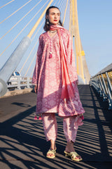 Taneez by Roheenaz Unstitched 3 Piece Block Printed Lawn Collection'2024-RNB-07-B-Vida