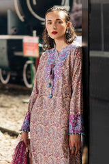 Taneez by Roheenaz Unstitched 3 Piece Block Printed Lawn Collection'2024-RNB-05-A-Sahar