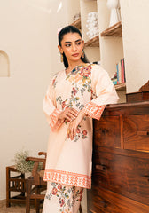 Amal Stitched 2 Piece Summer Cambric Collection-Dhalia