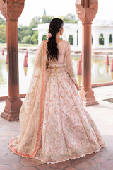 Ember Festive By Aylin Unstitched 3 Piece Formals Collection'2025-Silk Stone