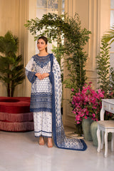 Vital by Sobia Nazir Unstitched 3 Piece Lawn Collection'2025-V-10-B