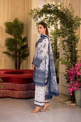 Vital by Sobia Nazir Unstitched 3 Piece Lawn Collection'2025-V-10-B