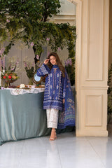 Vital by Sobia Nazir Unstitched 3 Piece Lawn Collection'2025-V-06-B