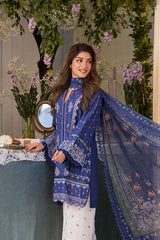 Vital by Sobia Nazir Unstitched 3 Piece Lawn Collection'2025-V-06-B