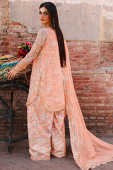 Vasal By Charizma Unstitched 3 Piece Luxury Chiffon Vol-03 Drop-02 Collection'2025-VSL25-19
