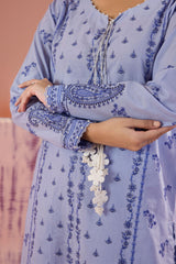 Zellbury Unstitched 3 Piece Dyed Cotton Collection'2025-WUC-0068