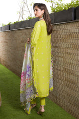 Zellbury Unstitched 3 Piece Chikankari Cotton Vol-04 Collection'2025-WUC-0081