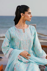 Zellbury Unstitched 3 Piece Chikankari Vol-02 Collection'2025-WUS-0813