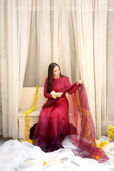 Pashma Khan Stitched Luxury Saree Collection'2025-Máhgul