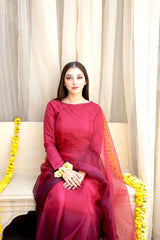 Pashma Khan Stitched Luxury Saree Collection'2025-Máhgul