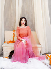 Pashma Khan Stitched Luxury Saree Collection'2025-Gendá