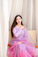 Pashma Khan Stitched Luxury Saree Collection'2025-Nilofér