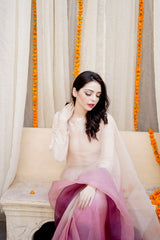 Pashma Khan Stitched Luxury Saree Collection'2025-Maya