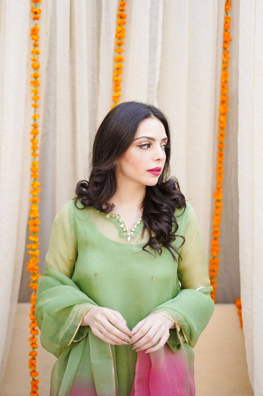 Pashma Khan Semi Formals Collection'2025-Shajar