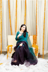 Pashma Khan Stitched Luxury Saree Collection'2025-Noór