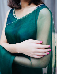 Pashma Khan Stitched Luxury Saree Collection'2025-Dilrubá