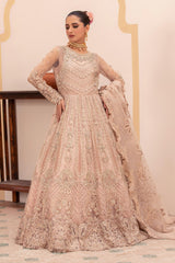 Tehzeeb By Diara Couture Stitched 3 Piece Formals R. EMBRACE - DF-35