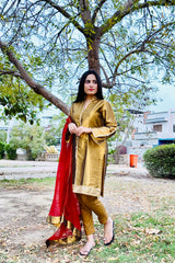 Urban Cut 3 Piece Embroidered Suit