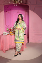 Working Women By Dr Haris Unstitched 2 Piece Lawn Vol-1 Collection-WWD-003