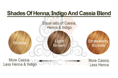 Organic Roots Natural Hair Color Kit | Trio Kit  | For Blonde -Light Brown