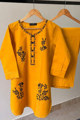 Amna Ali Nawaz Stitched 2 Piece Emb Solid Suit-4003