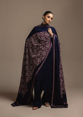 Aik Roz By Aik Atelier Stitched 3 Piece Karandi Suit-LOOK 06